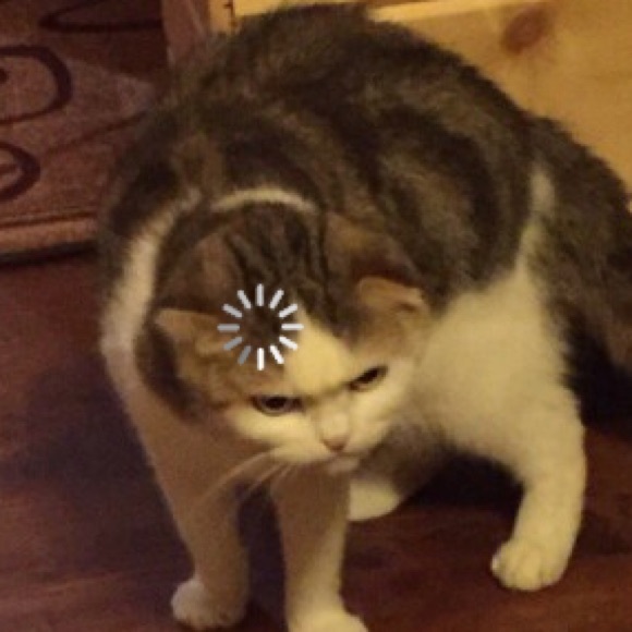 Meet your Posher, Carla - Picture 1 of 1